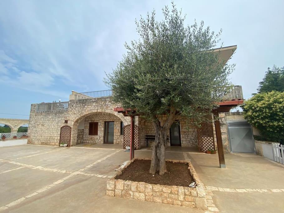 Villa Coco مونوبولي المظهر الخارجي الصورة